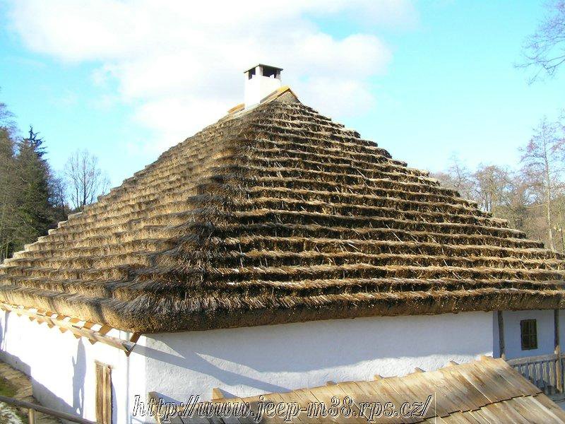 P1245342.JPG
