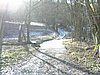 P1245350.JPG