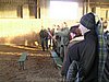 P1245369.JPG
